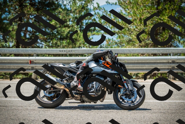 202508091219-DSC04563_c1_