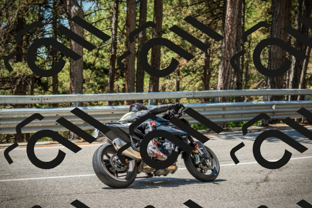 202508091219-DSC04564_c1_