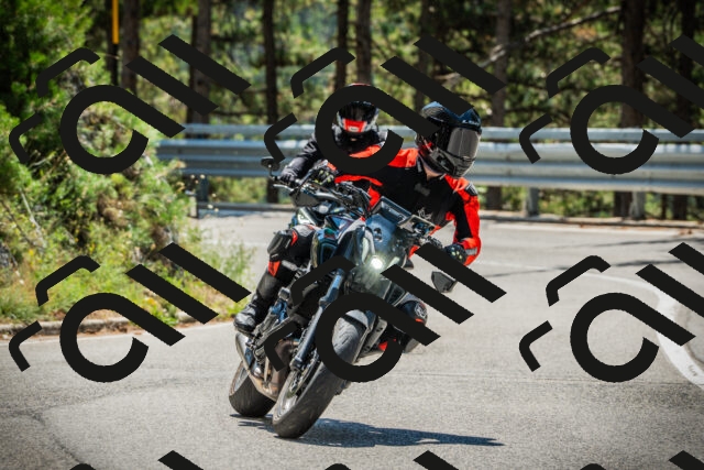 202508091219-DSC04565_c1_