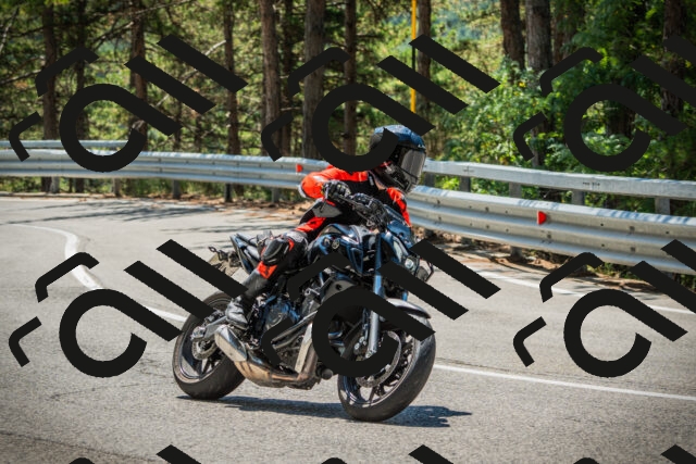 202508091219-DSC04566_c1_