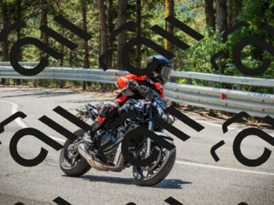 202508091219-DSC04566_c1_