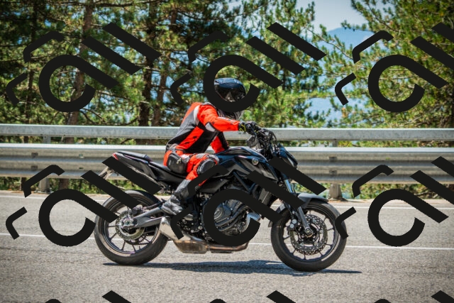 202508091219-DSC04567_c1_