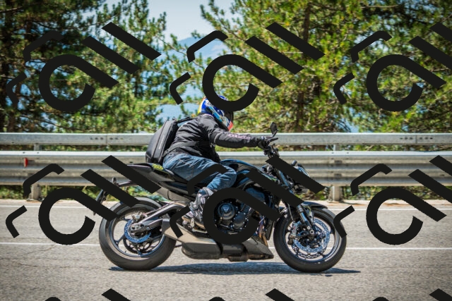 202508091219-DSC04568_c1_