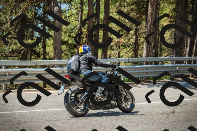 202508091219-DSC04569_c1_