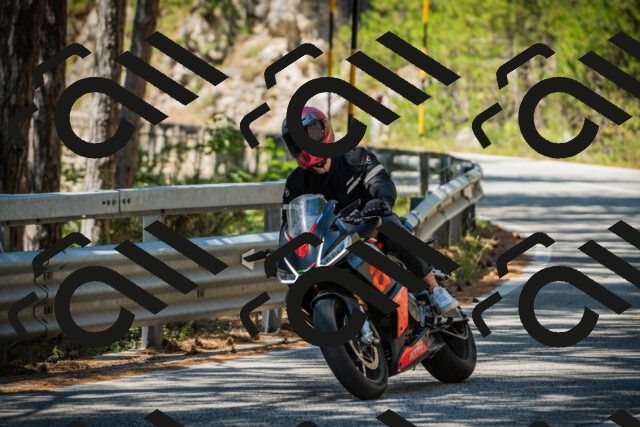 202508091219-DSC04572_c1_