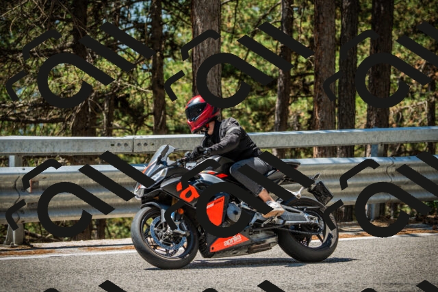 202508091219-DSC04573_c1_