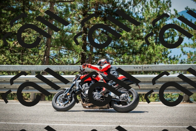 202508091219-DSC04575_c1_