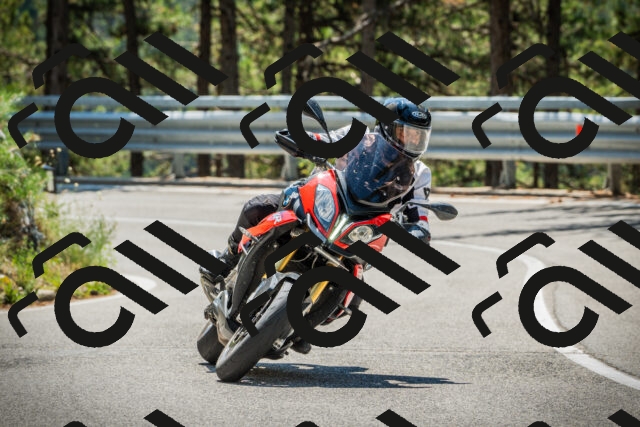 202508091220-DSC04579_c1_