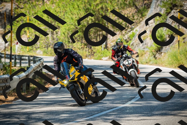 202508091221-DSC04586_c1_