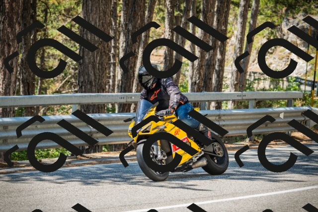 202508091221-DSC04587_c1_