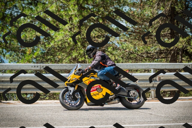 202508091221-DSC04588_c1_