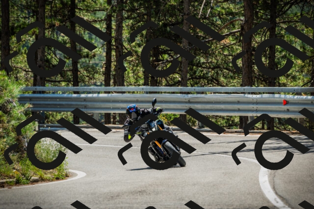 202508091221-DSC04592_c1_