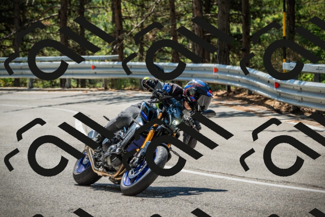 202508091221-DSC04595_c1_