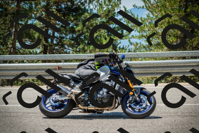 202508091221-DSC04596_c1_