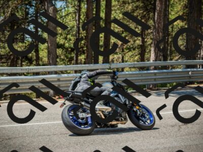 202508091221-DSC04597_c1_