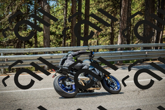 202508091221-DSC04597_c1_