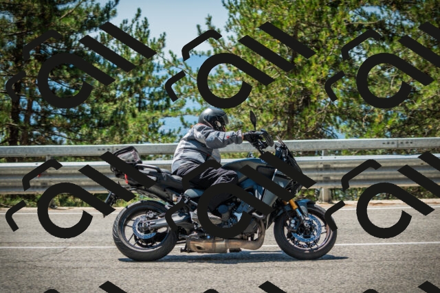 202508091222-DSC04600_c1_