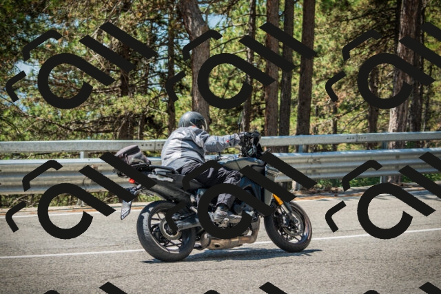 202508091222-DSC04601_c1_