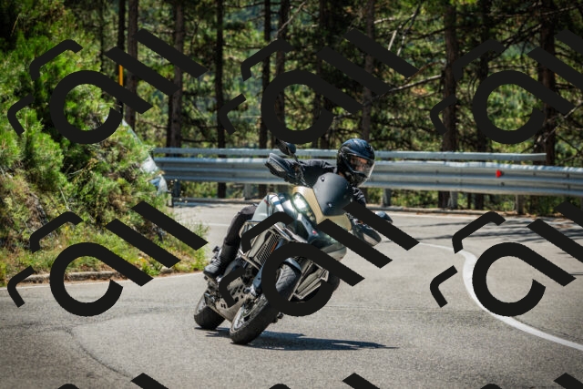 202508091222-DSC04606_c1_