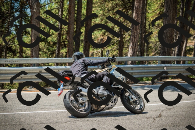 202508091222-DSC04609_c1_