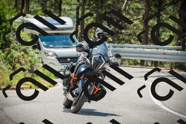 202508091222-DSC04610_c1_