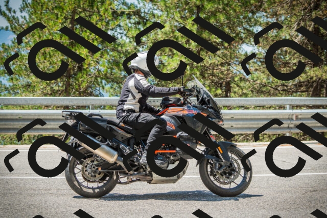 202508091222-DSC04613_c1_