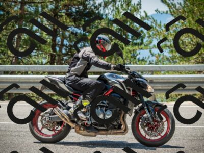 202508091223-DSC04617_c1_