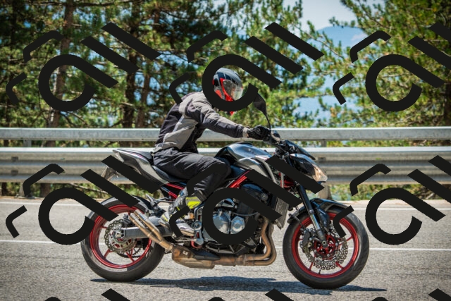 202508091223-DSC04617_c1_