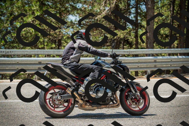 202508091223-DSC04618_c1_