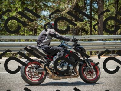 202508091223-DSC04618_c1_