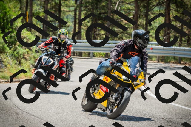 202508091223-DSC04620_c1_