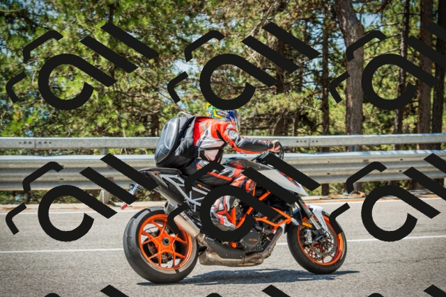 202508091223-DSC04623_c1_