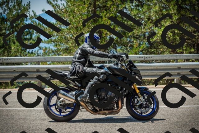 202508091223-DSC04624_c1_