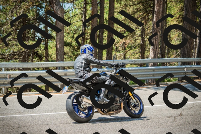 202508091223-DSC04625_c1_