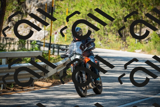 202508091223-DSC04627_c1_