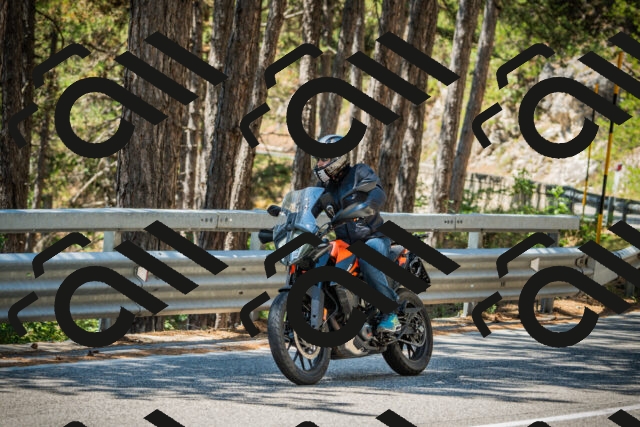 202508091223-DSC04628_c1_