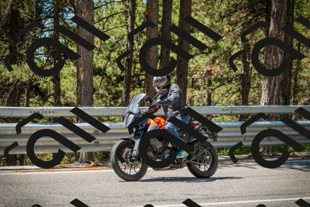 202508091223-DSC04629_c1_