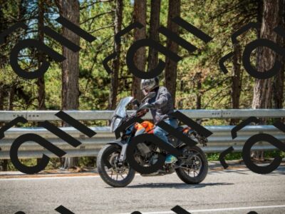 202508091223-DSC04629_c1_