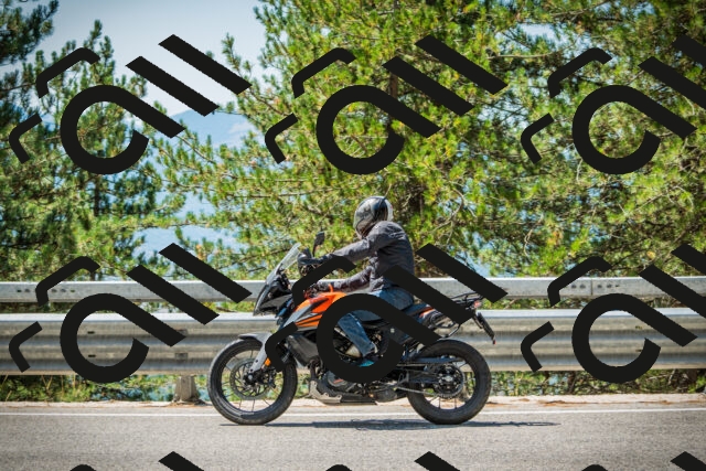 202508091223-DSC04630_c1_