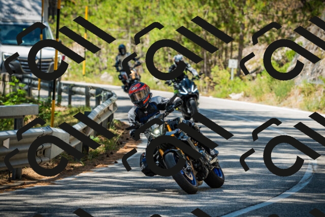 202508091224-DSC04633_c1_