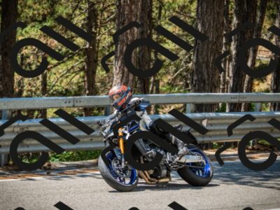 202508091224-DSC04634_c1_