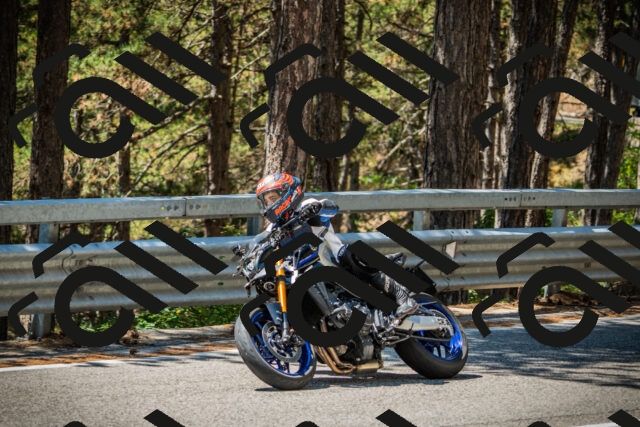 202508091224-DSC04634_c1_