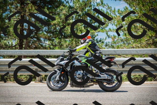 202508091224-DSC04636_c1_