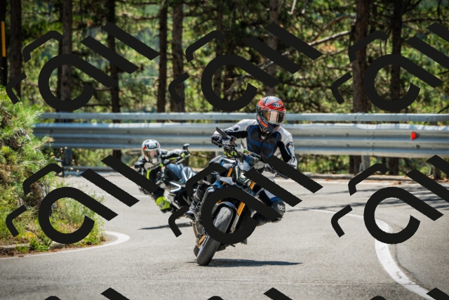 202508091225-DSC04641_c1_