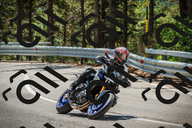 202508091225-DSC04642_c1_