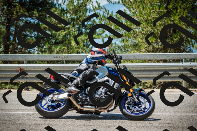 202508091225-DSC04643_c1_