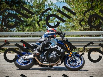 202508091225-DSC04643_c1_