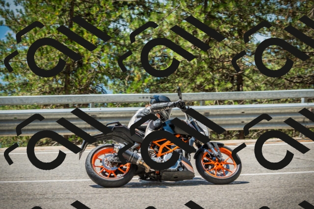 202508091225-DSC04647_c1_