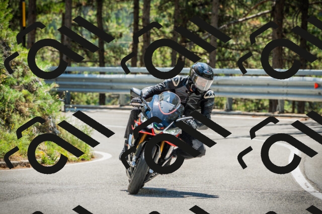 202508091226-DSC04650_c1_