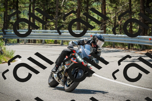 202508091226-DSC04651_c1_